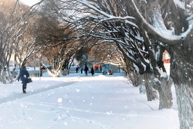 Winter Safety-Pedestrian 6